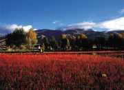 �Ĺ���ɽ+���ͼ׾Ӳ�կ+����+�¶���+�����Ƕ�VIPС����Ӱ����7����6��С�ţ���ѽӻ��������ͳɶ������Ƶ꣡