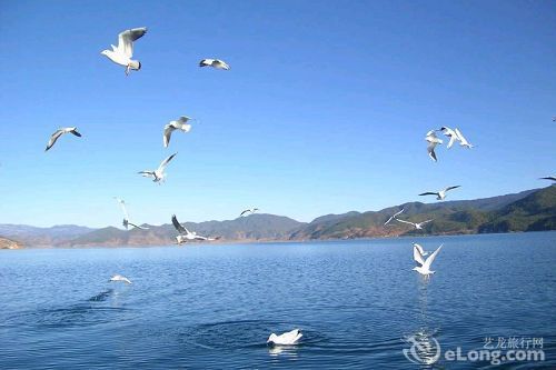 青海湖 青海湖